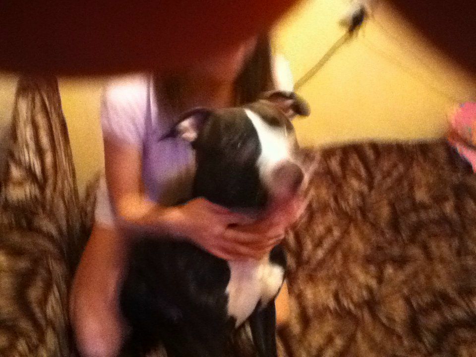 Kat Kan пил и пил | Санкт-Петербург