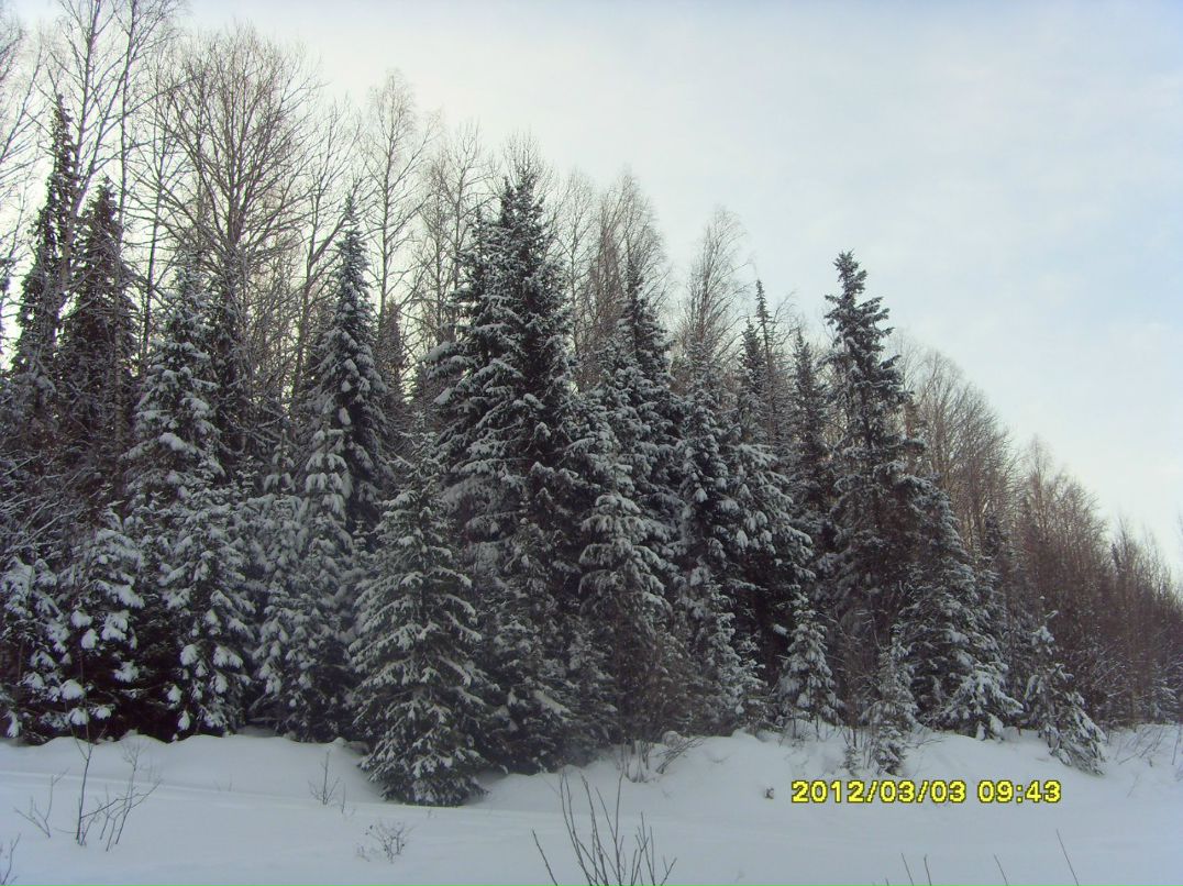 Константин Софронов | 