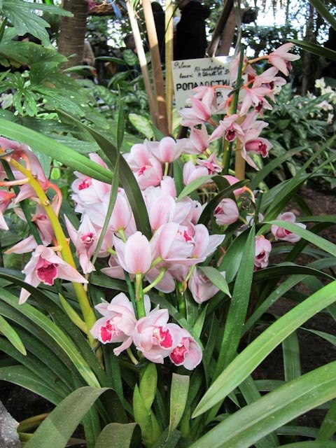 Анастасия Цветкова | Москва