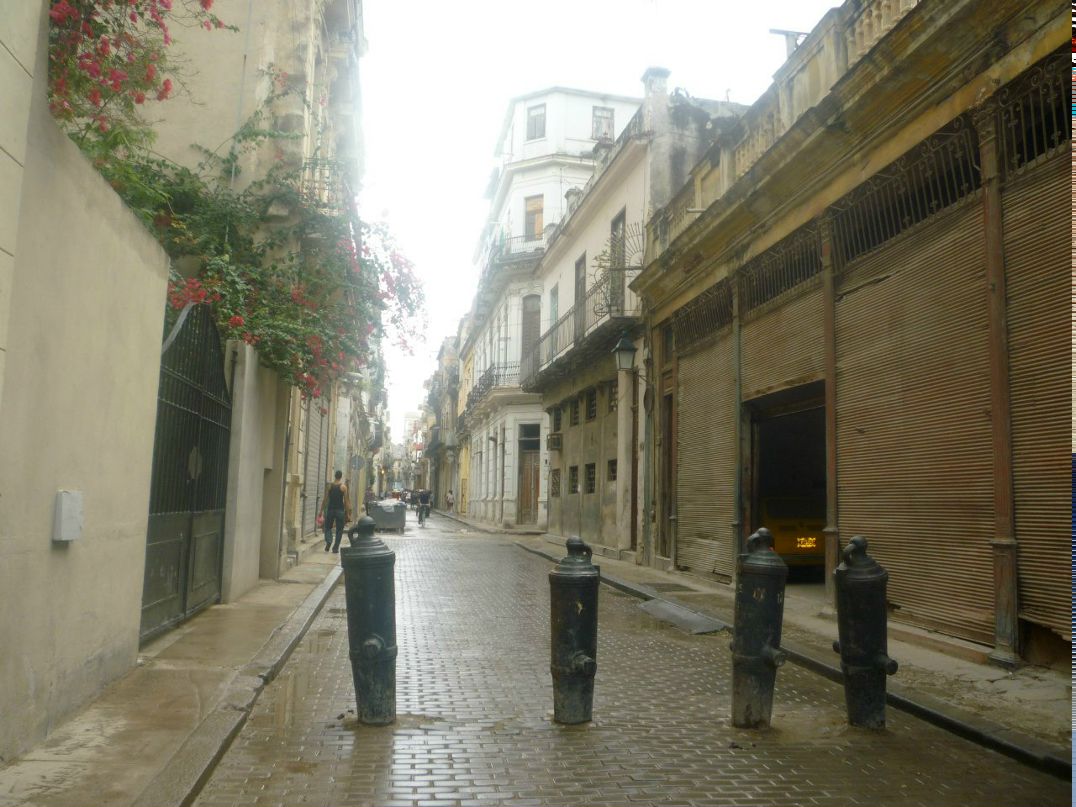 Мария Воеводина | Москва