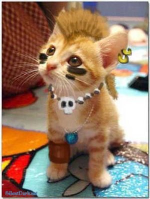 Виталий Батищев | 