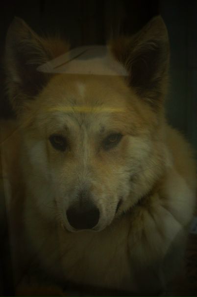 №137, Наталья Полякова, 39 лет, Москва №137, Наталья Полякова, 39 лет, Москва