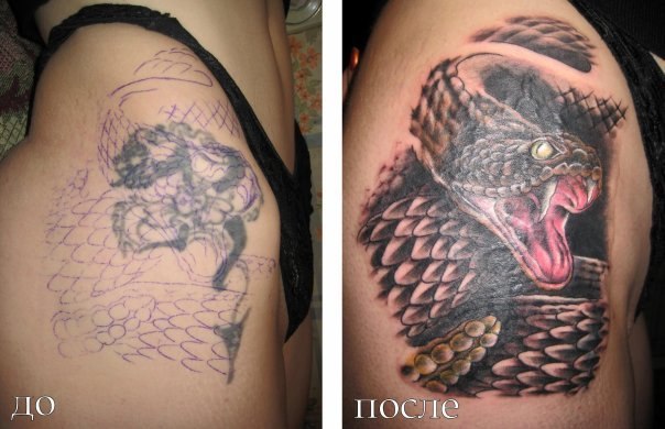 Дмитрий Беседин | Сочи