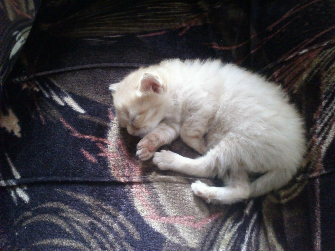 Marta Kaplina | Санкт-Петербург