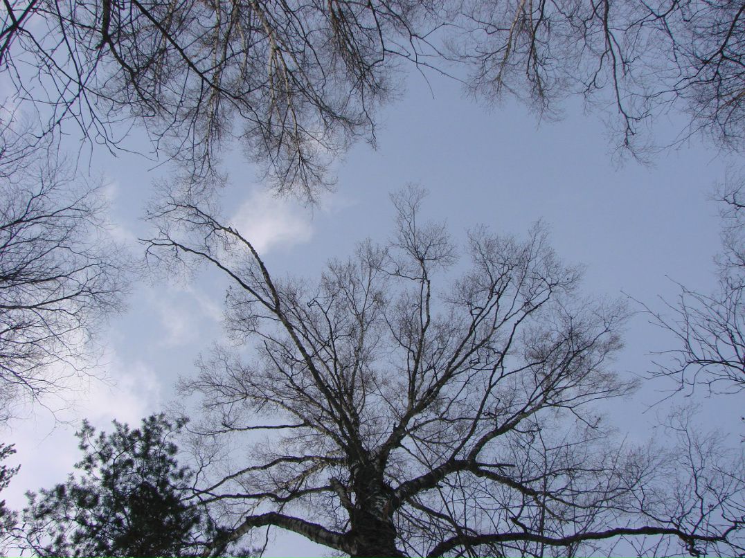 Евгений Осипов | Петрозаводск