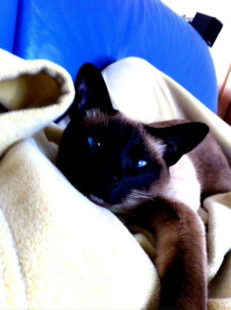 №45, Рита Абракова №45, Рита Абракова