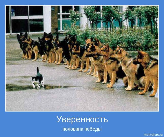 Никита Тихонов | Ефремов