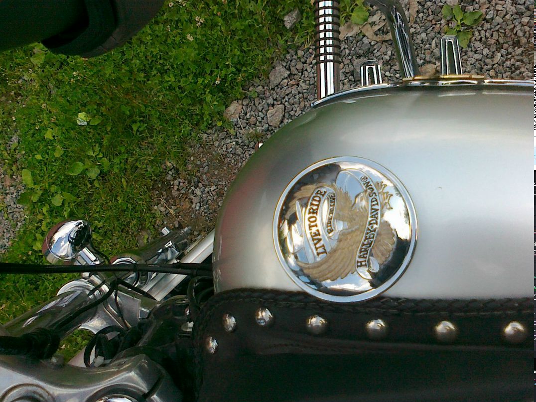 Олег Торопов Игоревич | Санкт-Петербург