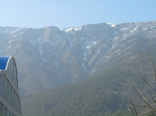 №98, Александр Каркоцкий, 43 года, Миргород №98, Александр Каркоцкий, 43 года, Миргород