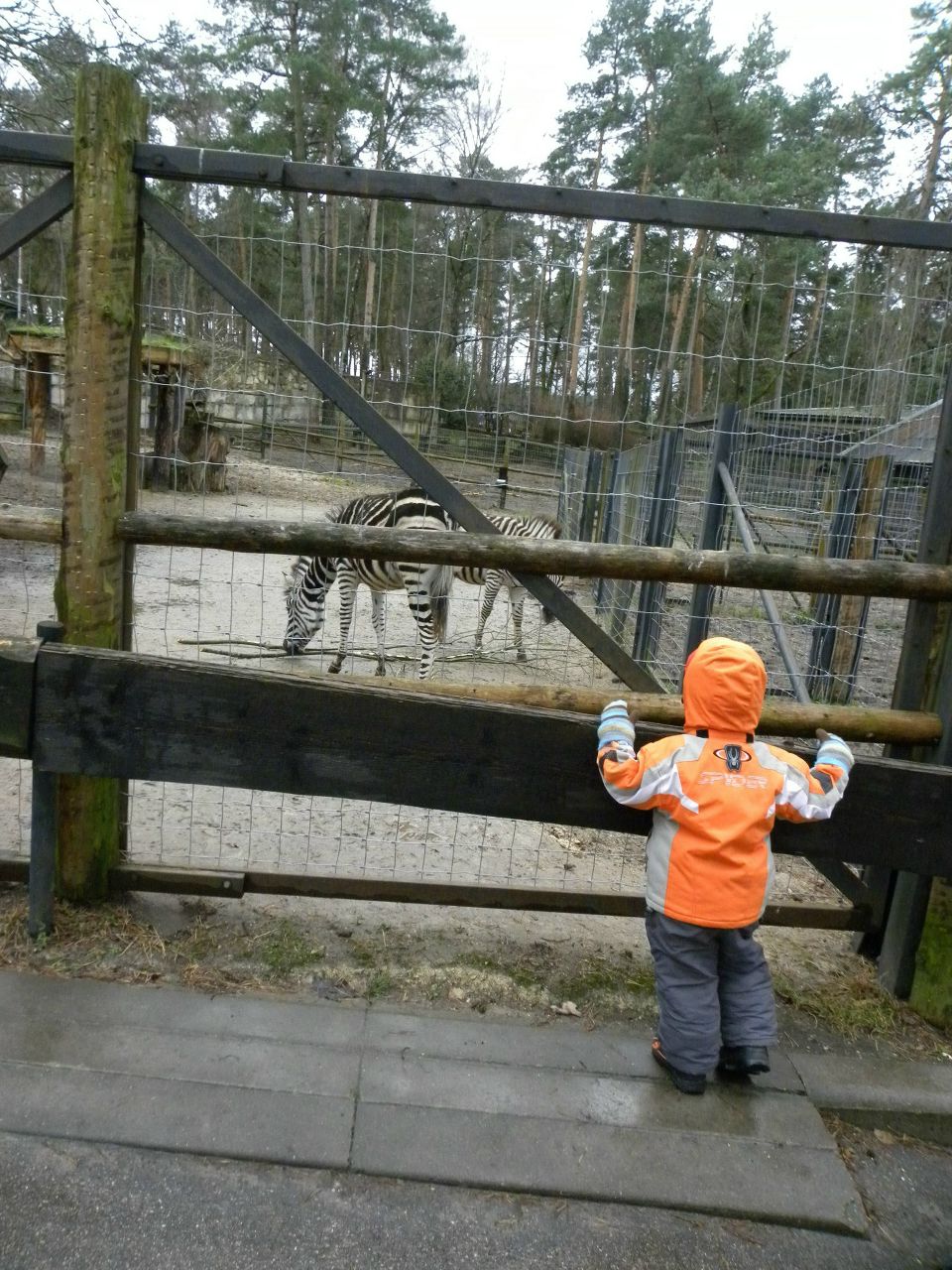 Татьяна Королева (Мозолева) | Санкт-Петербург