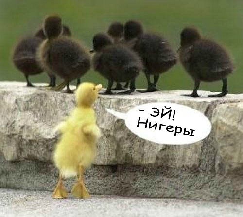 №118, Рустам Заробов, 40 лет, Киев №118, Рустам Заробов, 40 лет, Киев