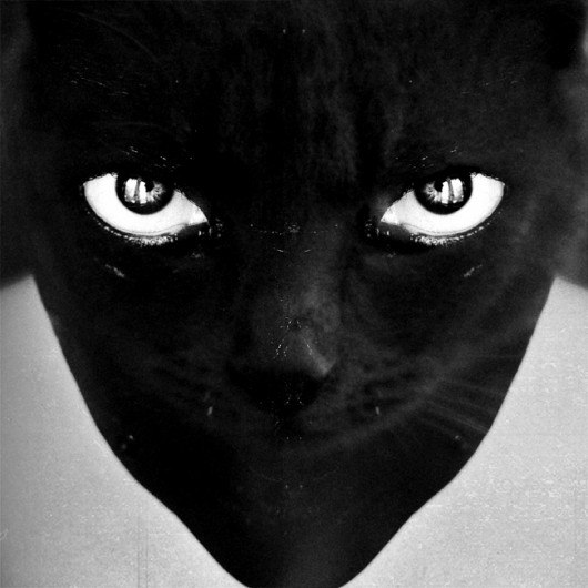 Митя Кот |Вечно Изумленный| | 