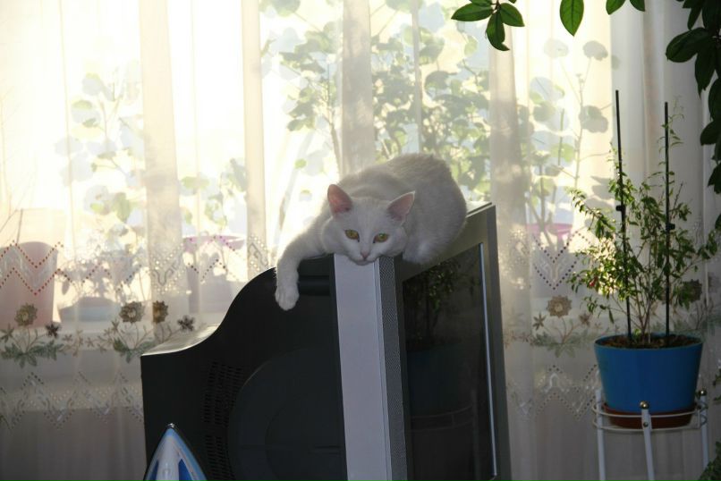 Валентин Богданов | Сургут