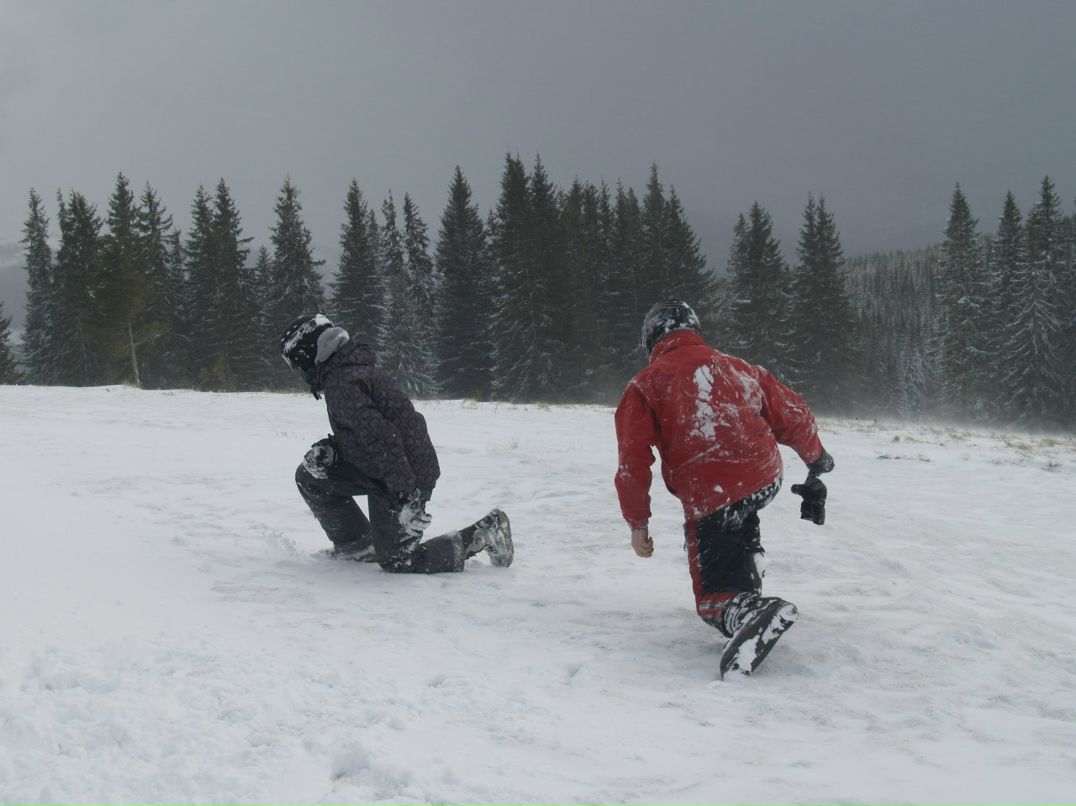 Марія Павловська-Лісогорська | Львов