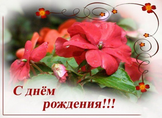 Виктория Горбач | Кобрин