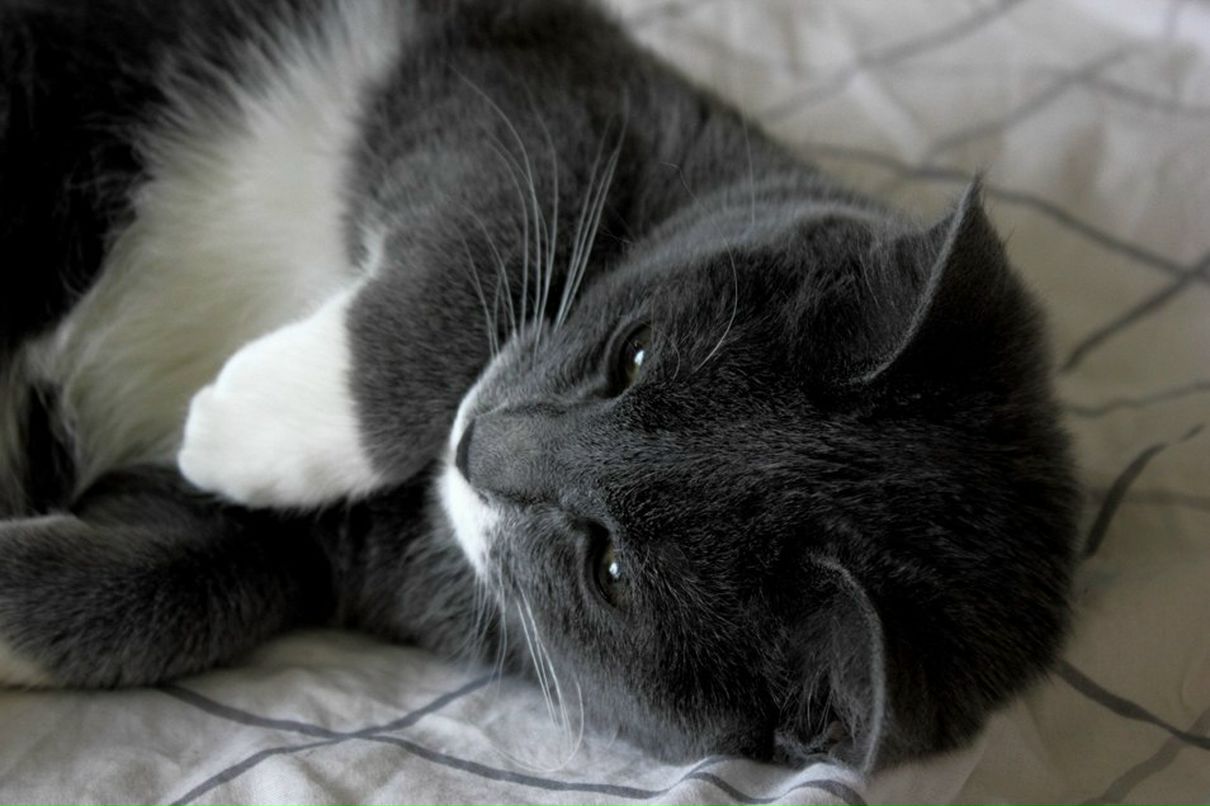 Lidochka Sobolets | Москва