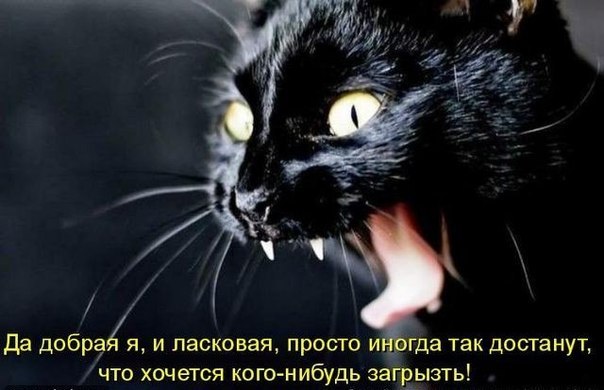 Кристина Чехова | 