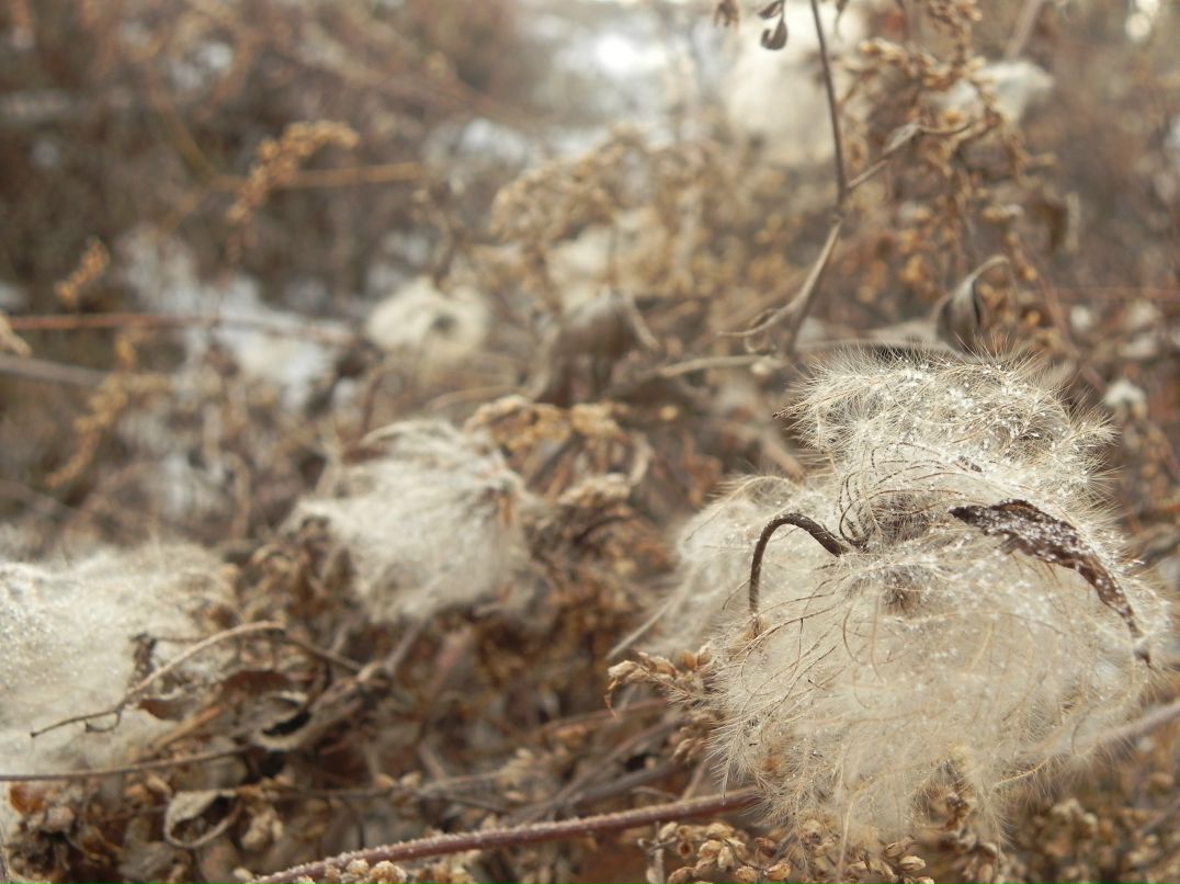 Полина Федоскова Teetotal | Владивосток