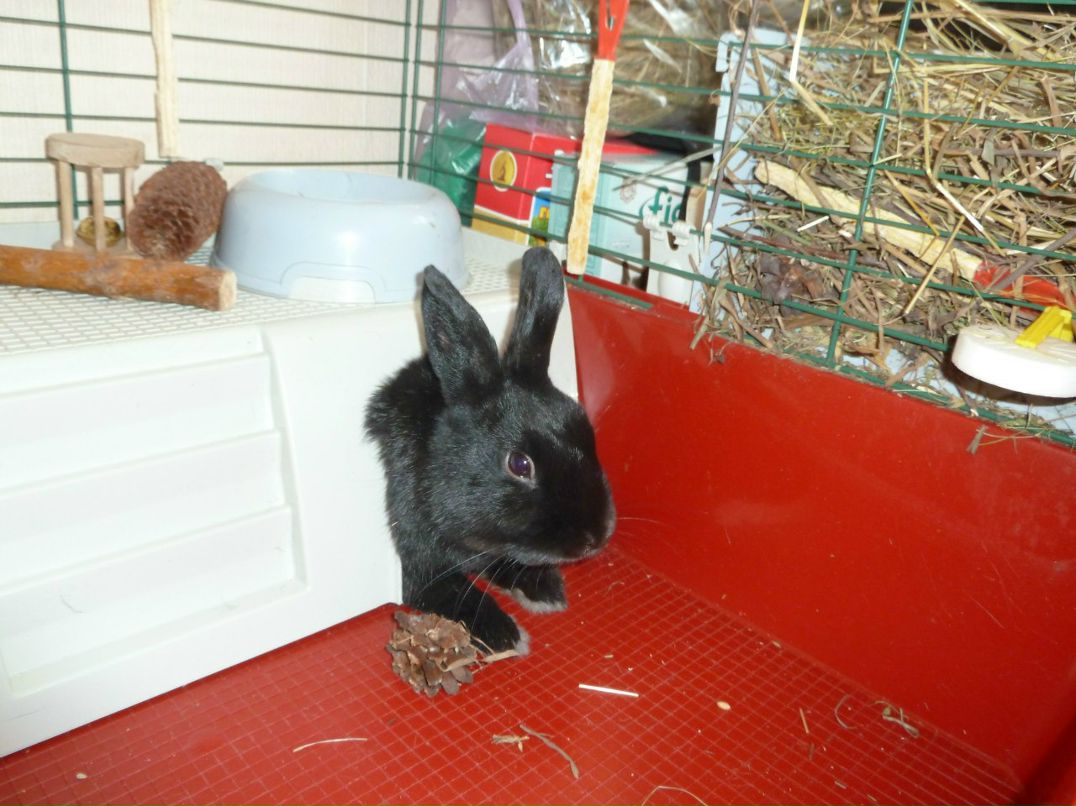 Владюнечка Кудряшова | Новосибирск