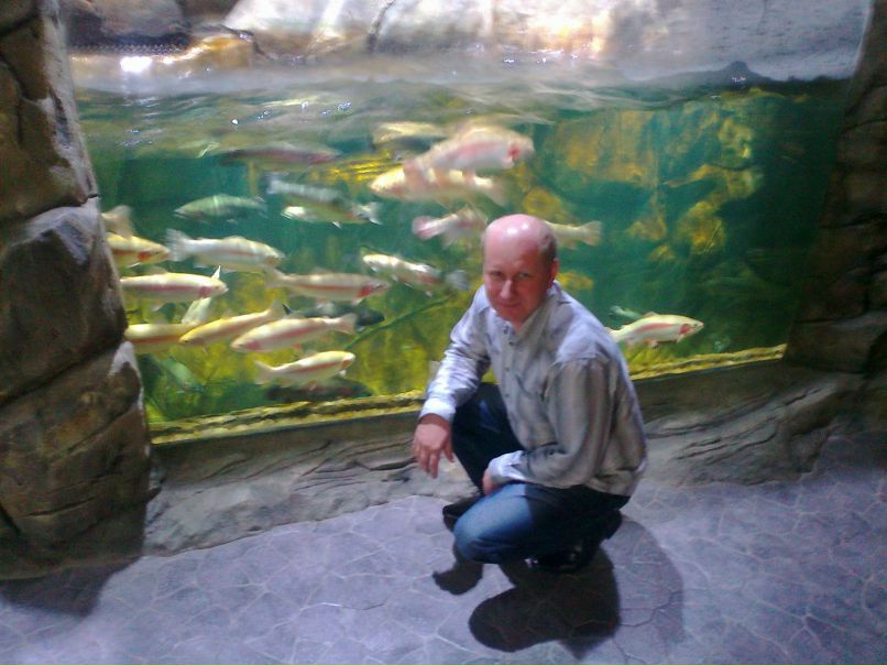 Сергей Холодов | 