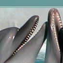 №83, Ярослава Рыжих, Видное №83, Ярослава Рыжих, Видное