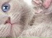 Юлия Ребрушкина | Одесса