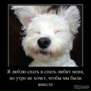 Фотография Надежда Евдокимова