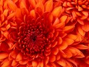 №19 Даша Панова 02.07.1999: профиль, фото, статус - ВКонтакте