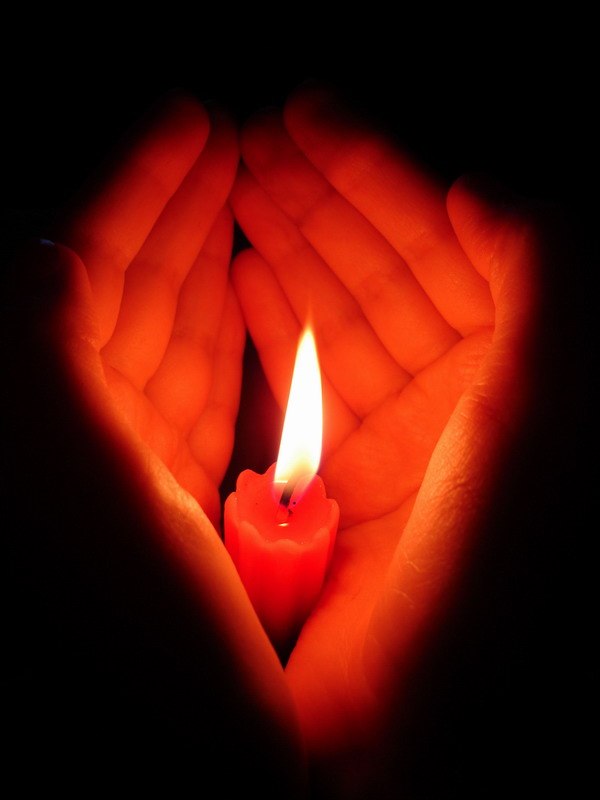 Юлия Тимофеева | Петергоф