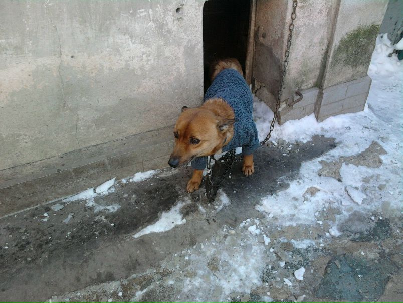 №3, Евгения Шаповалова, 36 лет, Москва №3, Евгения Шаповалова, 36 лет, Москва