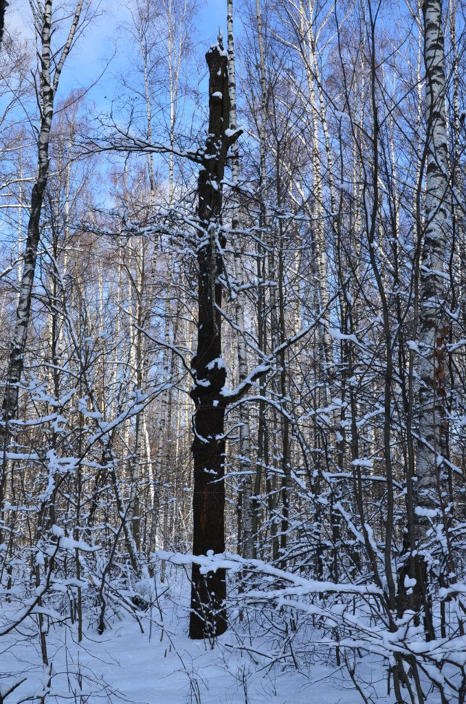 Георгий Бочин | Москва
