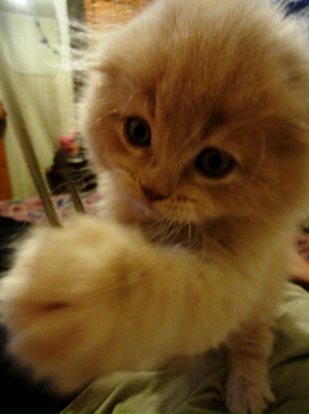 №25, Анастасия Полищук, Киев №25, Анастасия Полищук, Киев