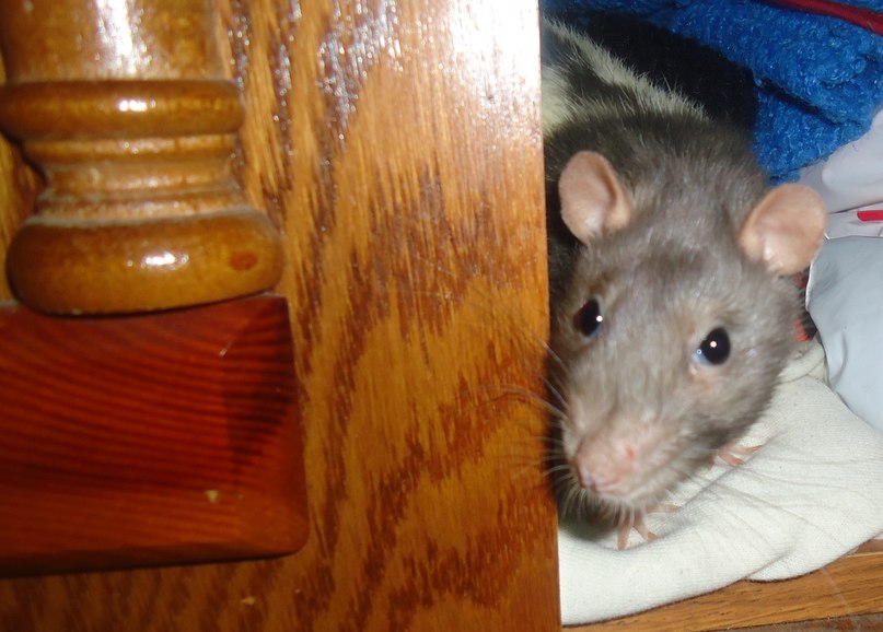 Юлиана Не | Новороссийск