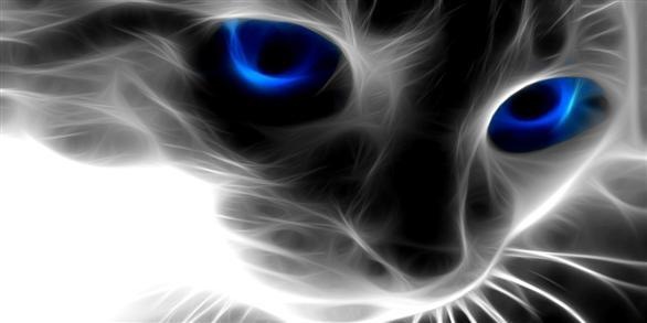 №41, Пётр Коротков №41, Пётр Коротков