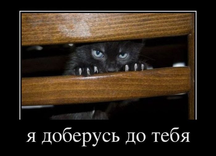 Владимир Белецкий | Москва