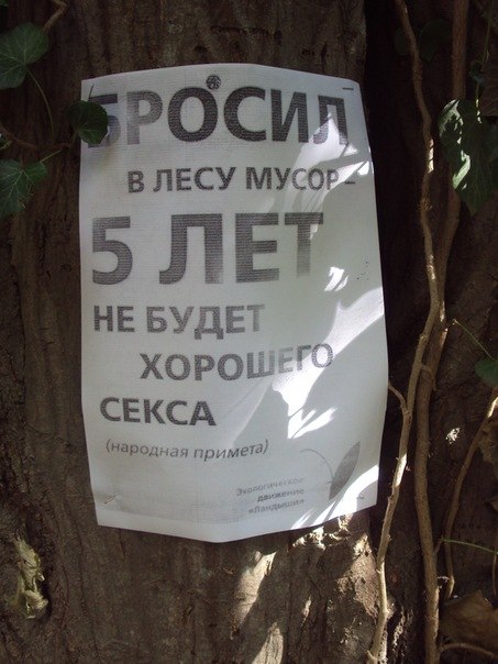 Алексей Целовальников | Киев