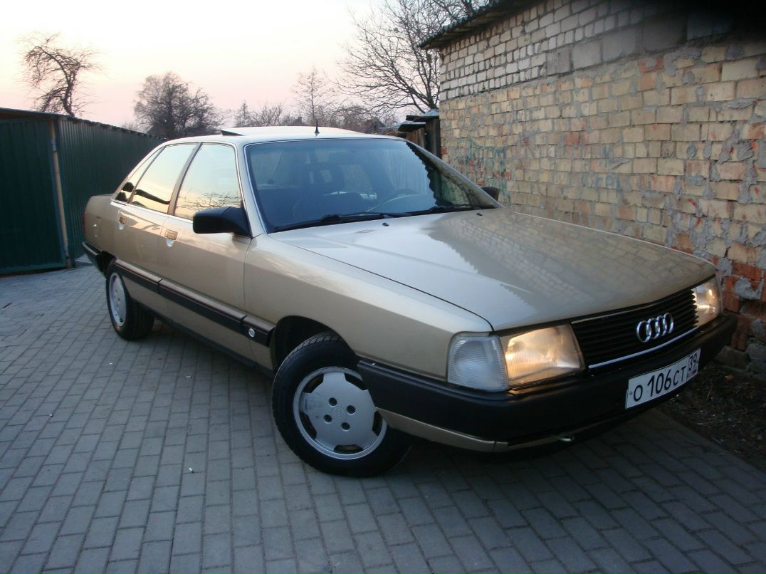 Сергей Сафарьян | Калининград