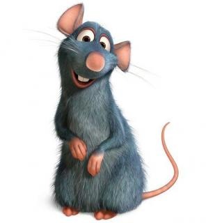 №77, Катерина Винник, Киев №77, Катерина Винник, Киев