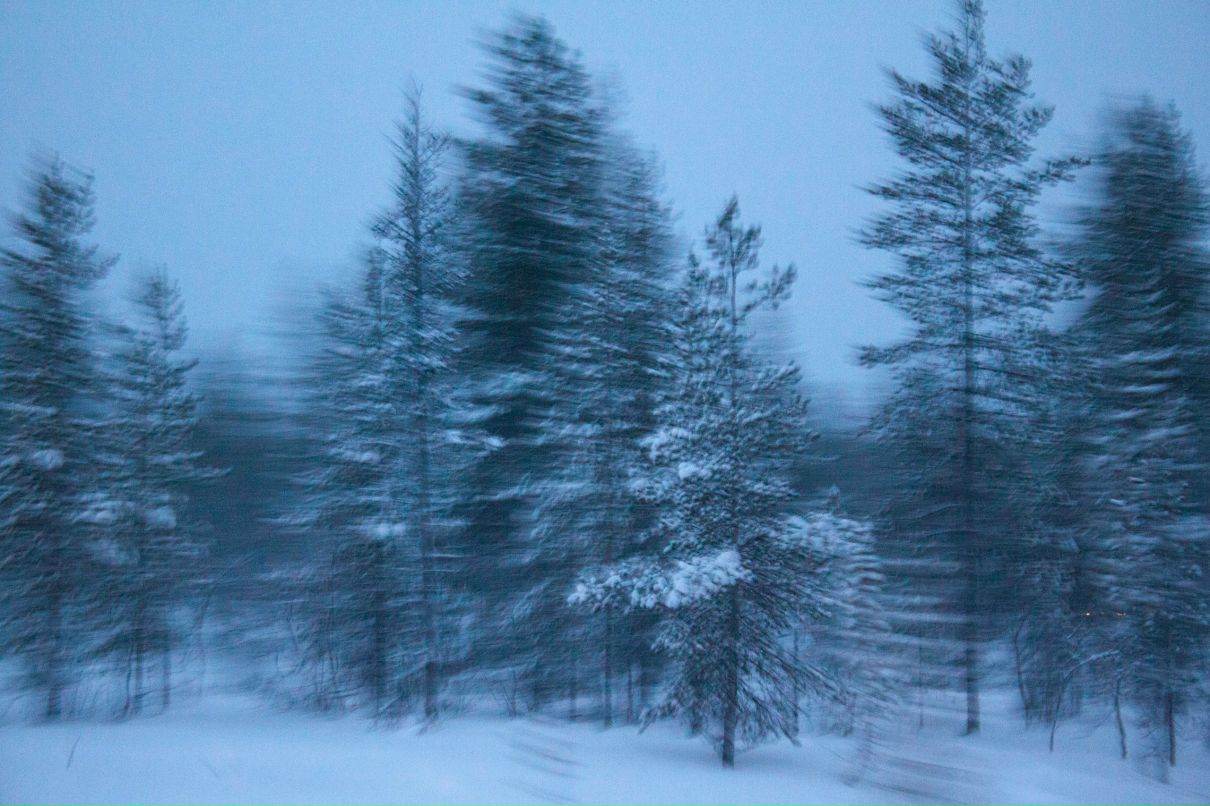 Сергей Пластунов | Санкт-Петербург