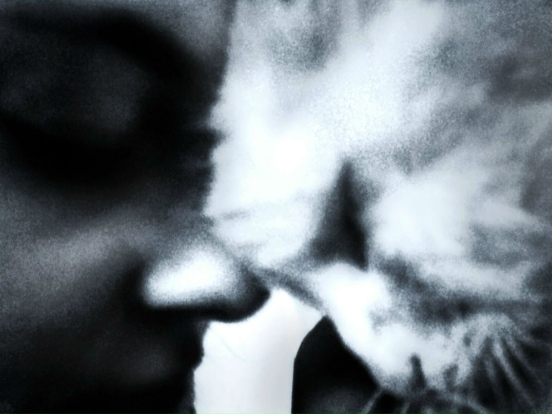 Ліля Василенко | 