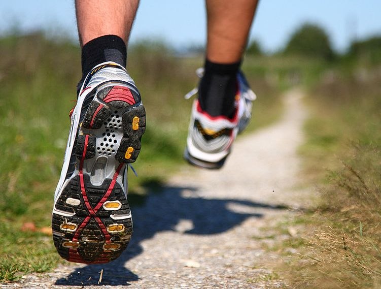 Александр Пикелюк bot | 