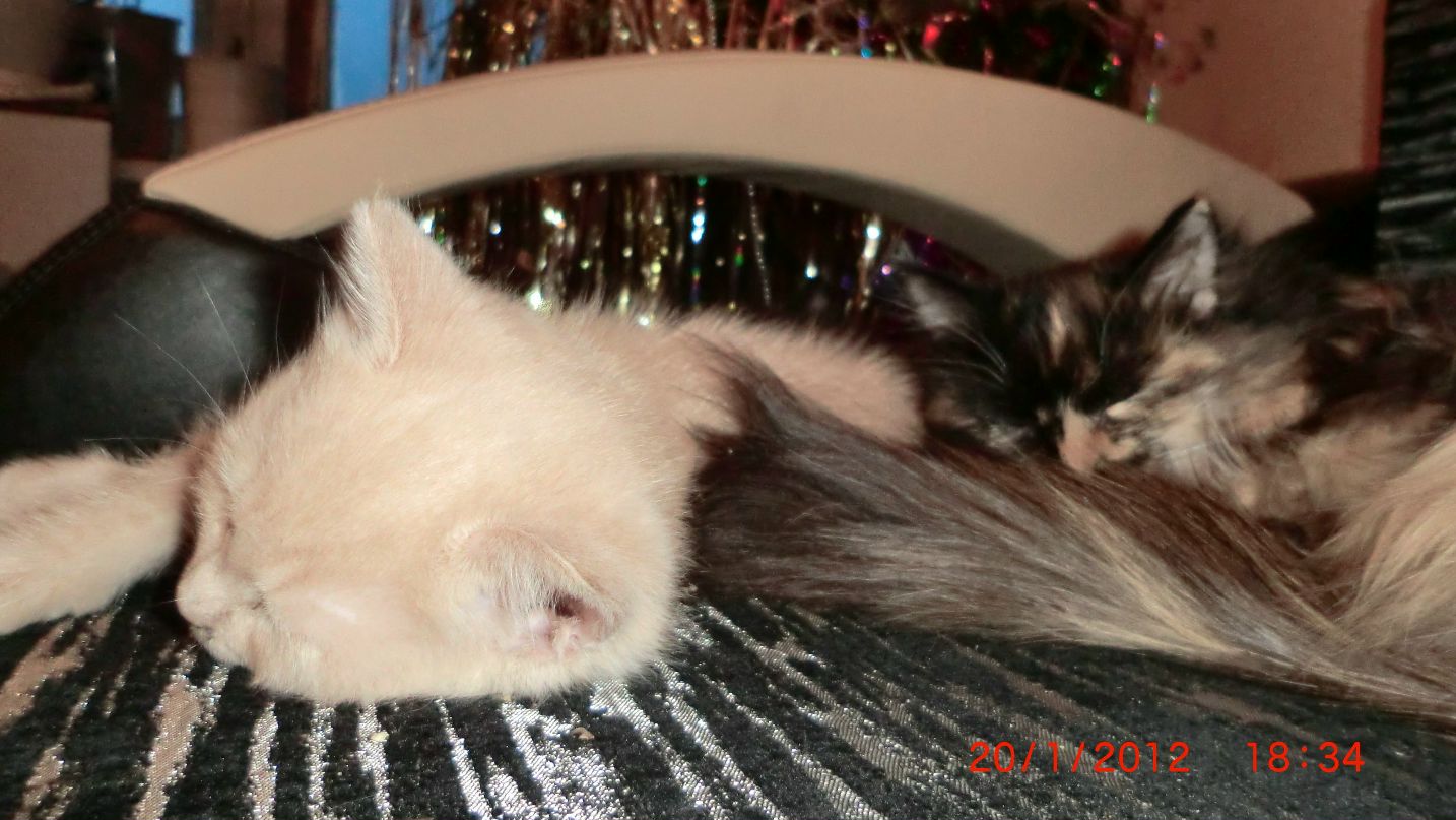 Григорий Красноборов | Екатеринбург