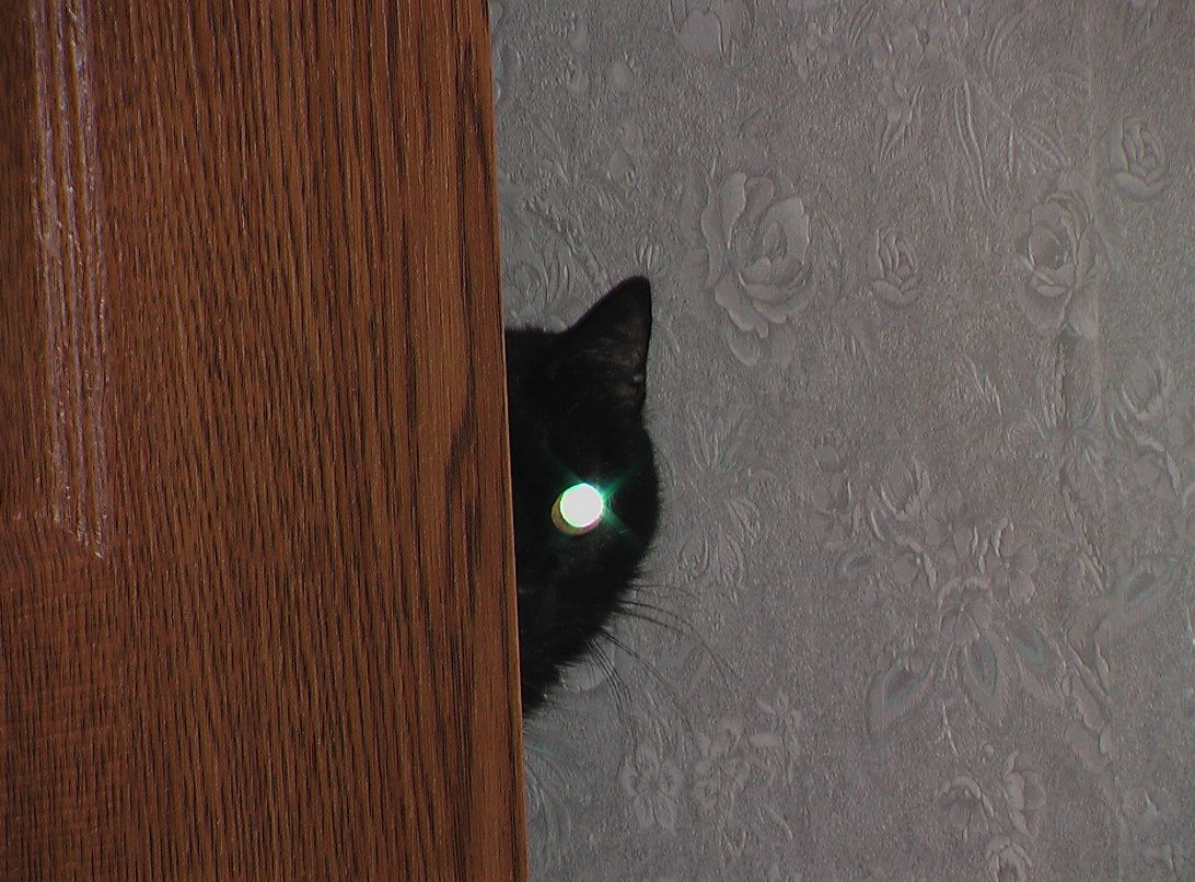 Елена Егорова | Пермь