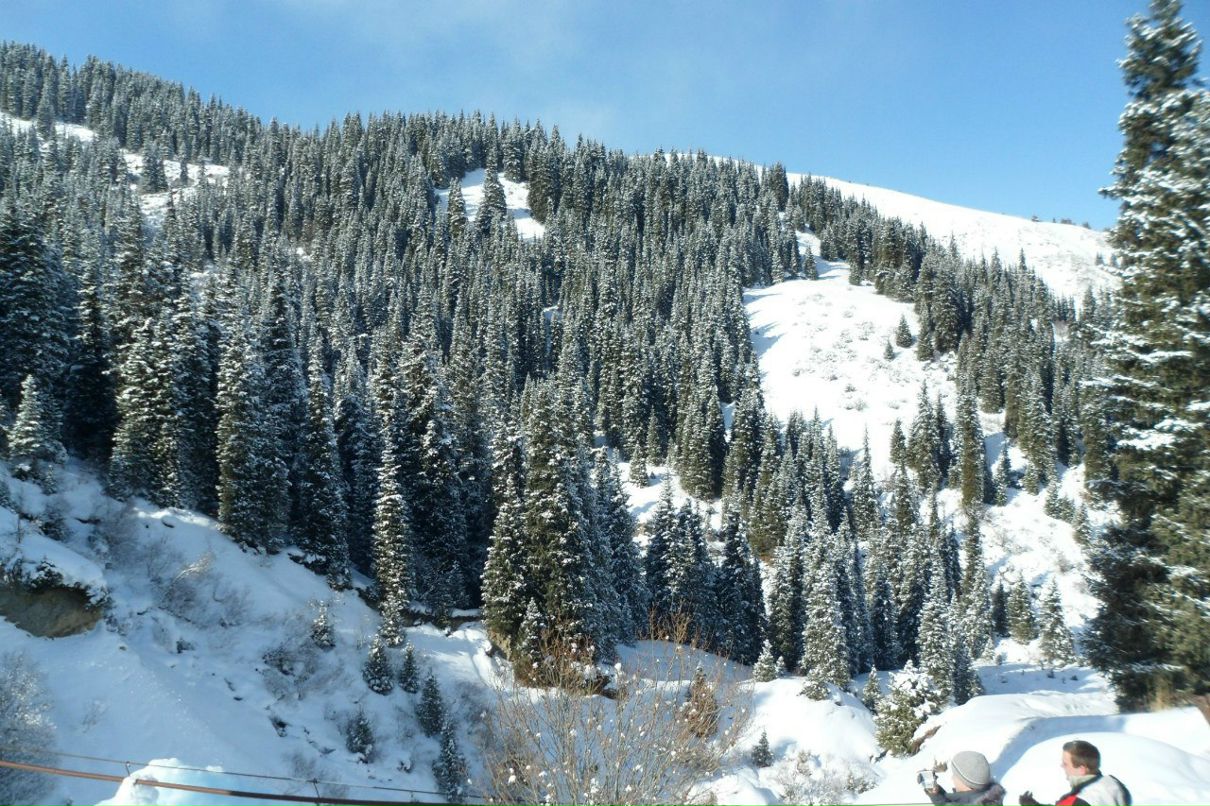 Роман Лебедко | Челябинск