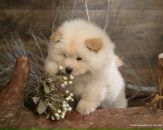 №36 Татьяна Зубцова 29.12.1993: профиль, фото, статус - ВКонтакте