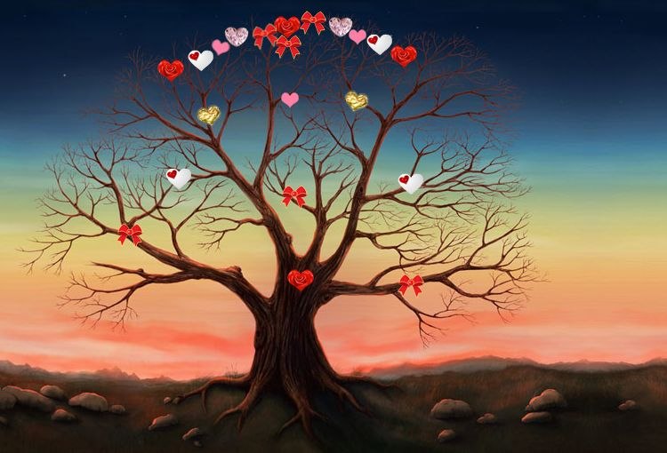 Алина Федулова | Тросна