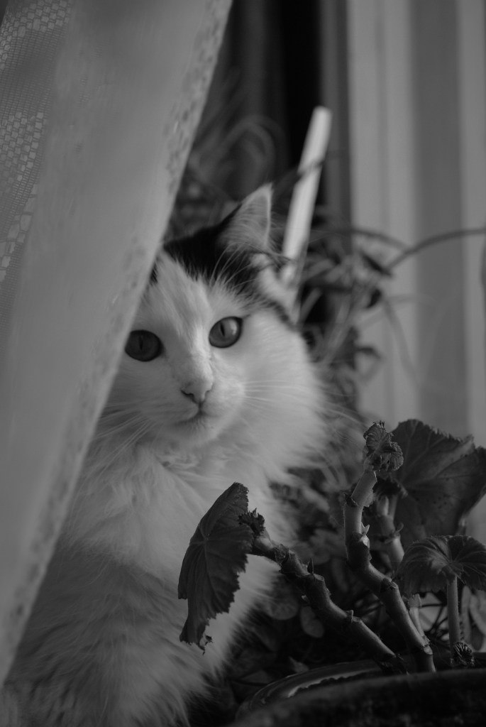 Наталья Илиева | София