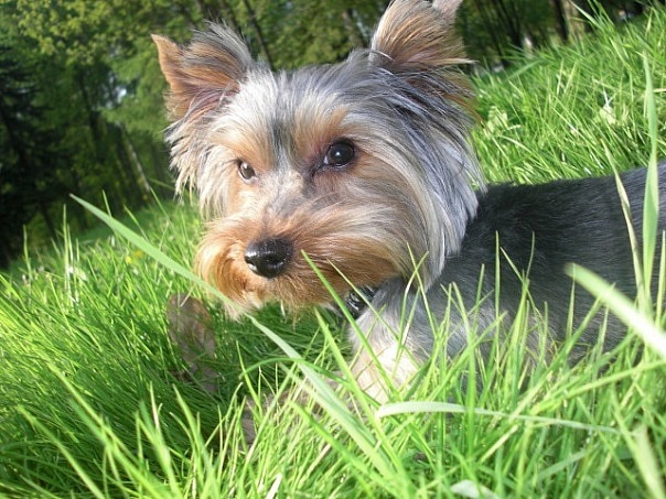 №43, Анна Романюк, Киселевск №43, Анна Романюк, Киселевск