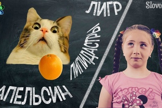 Апельсин. Лигр. Пипидастры. История появления слов. SlovoPadd. #1