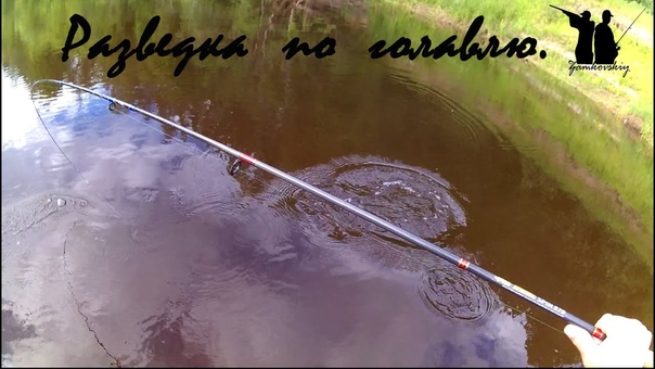 Разведка по голавлю, середина